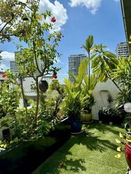 Elliot Road (D15), Condominium #456232741